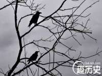 晋城睿健营网络科技有限公司