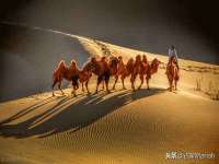 晋城睿健营网络科技有限公司