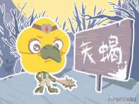 晋城睿健营网络科技有限公司