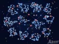 晋城睿健营网络科技有限公司