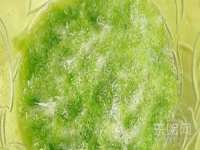 晋城睿健营网络科技有限公司
