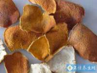 晋城睿健营网络科技有限公司