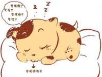 晋城睿健营网络科技有限公司