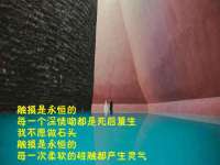 晋城睿健营网络科技有限公司