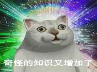 晋城睿健营网络科技有限公司