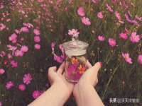 晋城睿健营网络科技有限公司