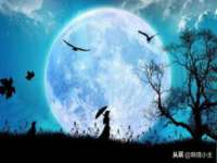 晋城睿健营网络科技有限公司