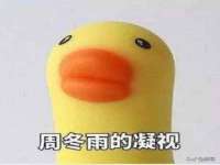 晋城睿健营网络科技有限公司