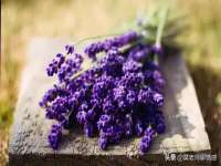 晋城睿健营网络科技有限公司
