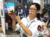 晋城睿健营网络科技有限公司