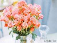 晋城睿健营网络科技有限公司