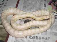 晋城睿健营网络科技有限公司