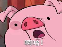 晋城睿健营网络科技有限公司
