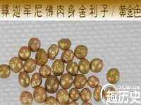 晋城睿健营网络科技有限公司